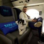 Bark Air una aerolínea para viajar y consentir a tu perrito