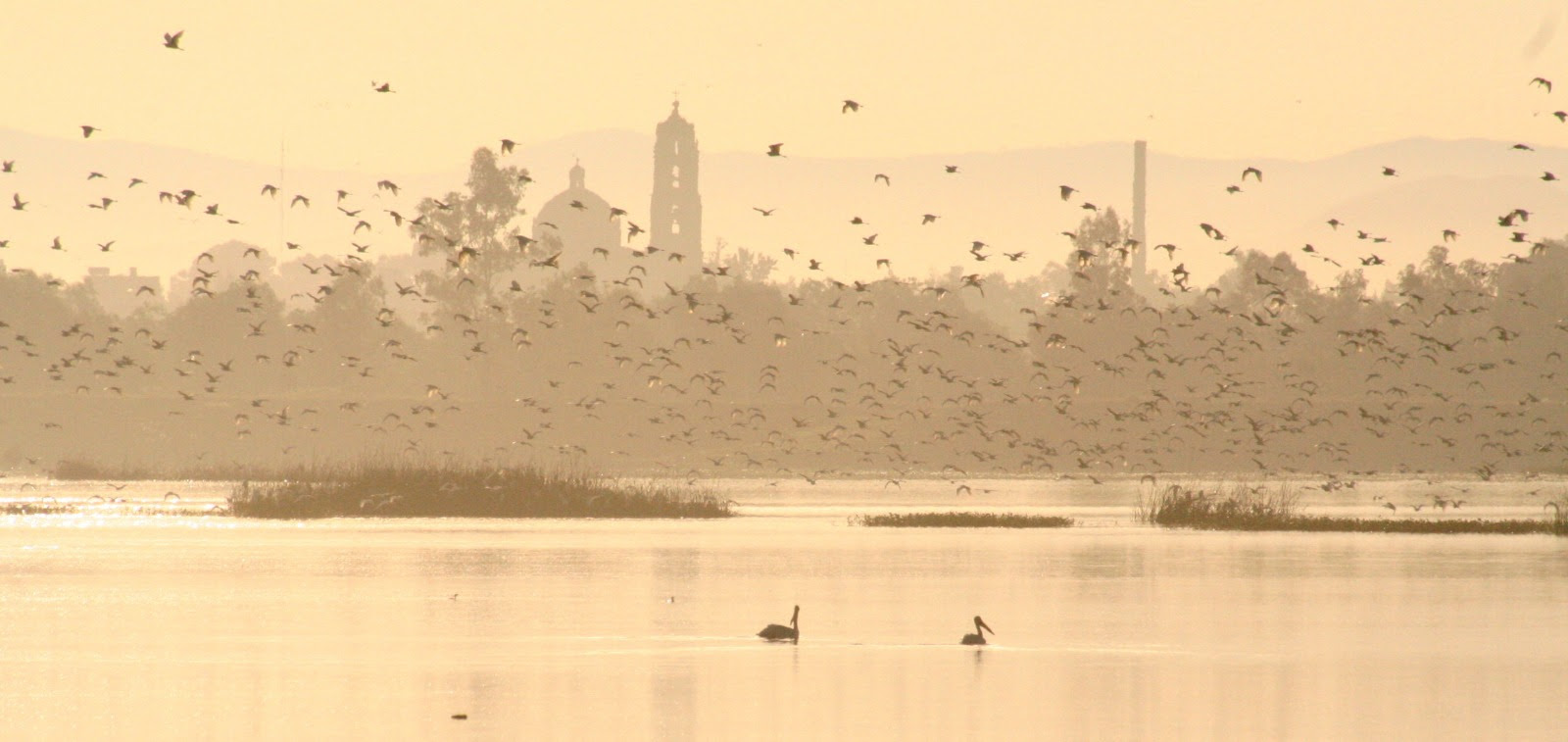 ¿Cuáles son los principales contaminantes que afectan a las Zonas Metropolitanas del Valle de Toluca y Santiago Tianguistenco?